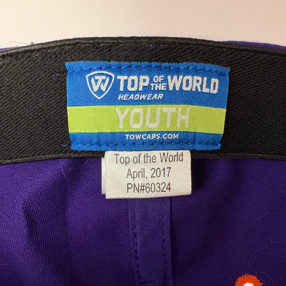Top‎ of the World Clemson Tigers Paw Logo Youth One Fit Baseball Cap Purple